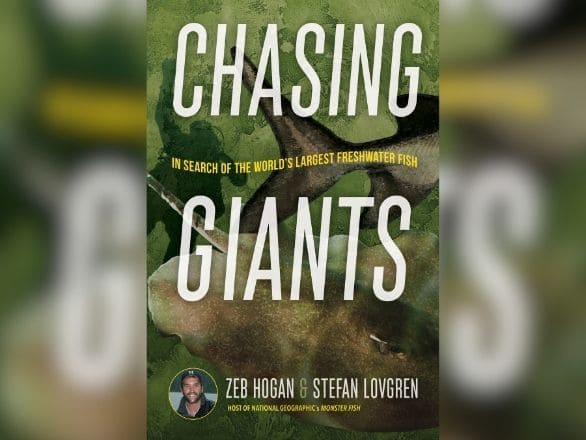 : Cover art for "Chasing Giants," depicting an expansive natural setting with a prominent giant figure, suggesting a journey.