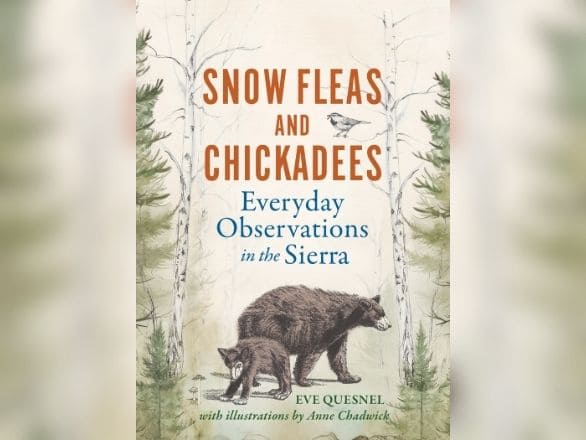 Book cover featuring snow fleas and chickadees, highlighting everyday observations in the Sierra region.