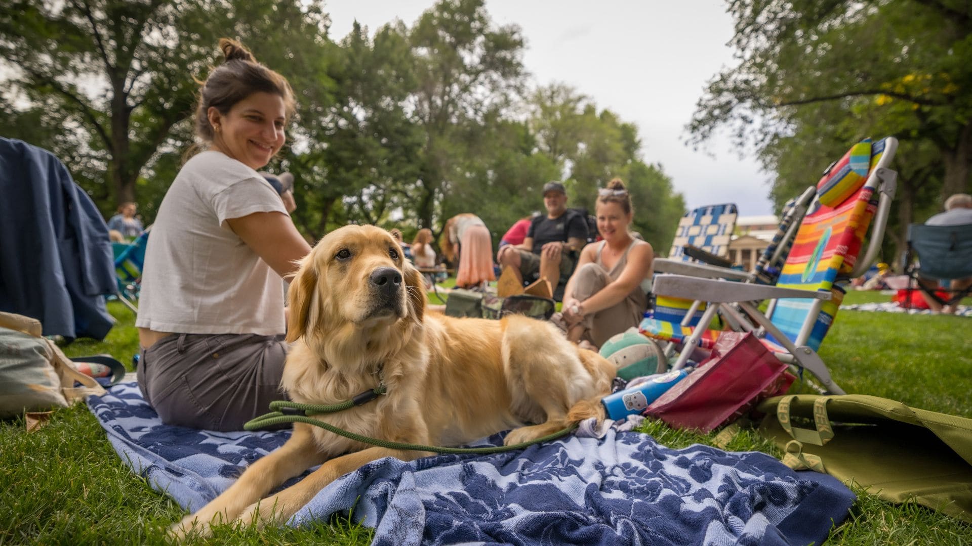 A golden retriever sits on a blanket spread across green grass, enjoying a sunny day outdoors.