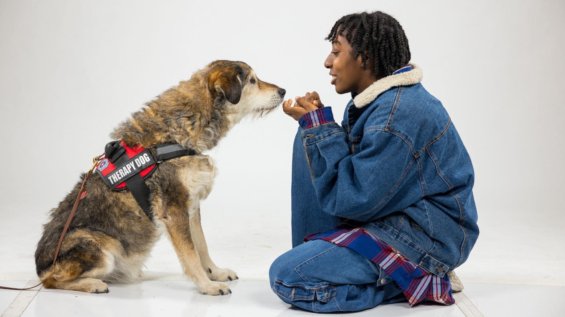 A person wearing a denim jacket and blue jeans is seated and spending time with a therapy support dog.