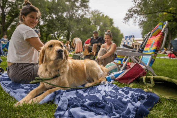 A relaxed golden retriever lies on a blue blanket in a park. People sit on colorful chairs nearby, enjoying a sunny day surrounded by trees.
