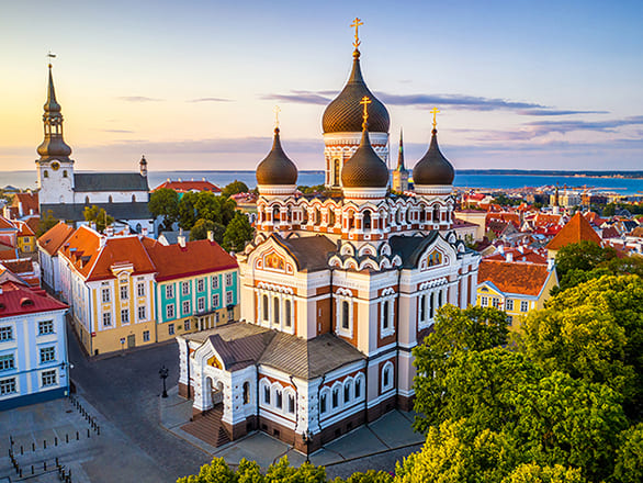 A small town filled with red roof buildings and a large brown and maroon cathedral in the middle.