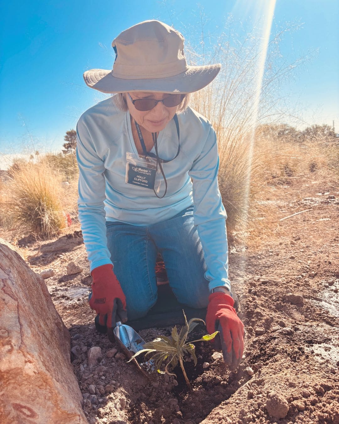 A woman wearing a hat and gloves is planting a small plant in the soil.