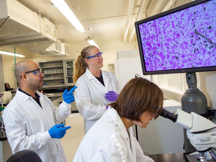 Three lab researchers in white coats and safety goggles analyze a scientific image on a monitor. One peers into a microscope.