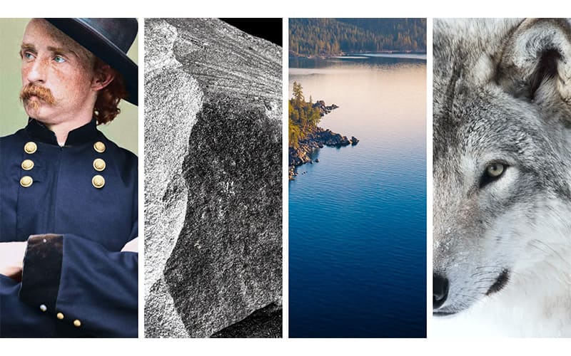 Photographic triptych collage featuring four vertical panels: a Union soldier in uniform, raw silver ore rock, an aerial view of Lake Tahoe's shoreline, and a close-up portrait of a gray wolf.