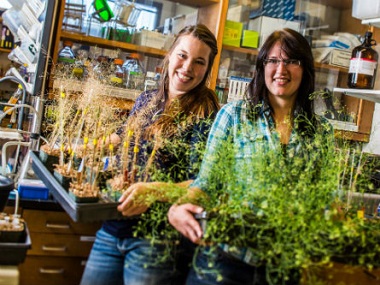 Students with plants
