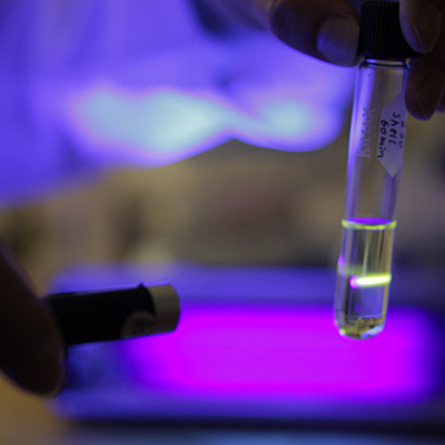 A scientist holds a blacklight device in one hand and shines it on a test tube held in the other hand, giving off a purple hue in the image