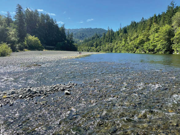 A river runs through green lush trees. 