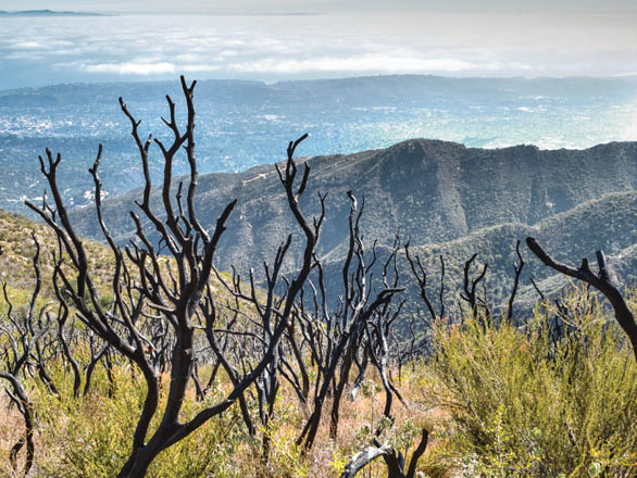 A mountain that has been burnt by fire.