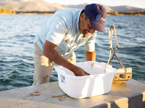 Sudeep Chandra sifts through a bucket of sand to look for new invasive species at Lake Tahoe.