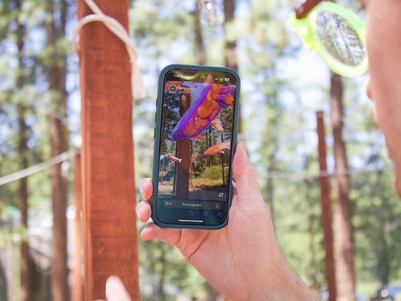 A person holds a phone that displays floating fish in the Tahoe forest.