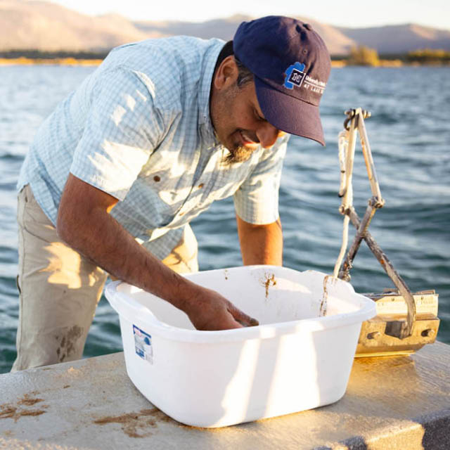 A researcher examines a bucket of sand to look for invasive species at Lake Tahoe.