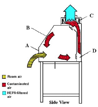 Chapter 8 Biosafety Manual Laboratory Ventilation For Biosafety