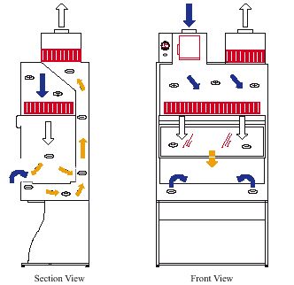Chapter 8 Biosafety Manual Laboratory Ventilation For Biosafety