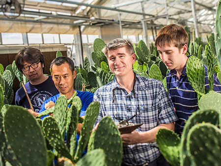 Research team observing cacti in a greenhouse.