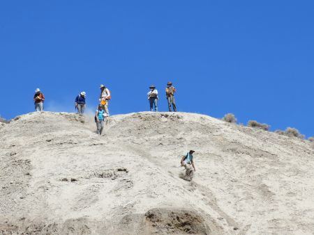 Field team starting to descend a slope.