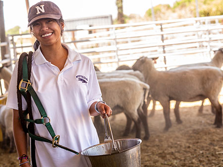 Researcher near livestock.