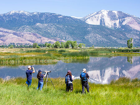 Field researchers at a marsh.