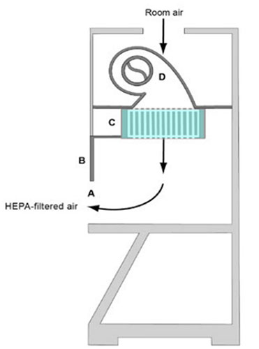 Figure showing the side view of a clean bench, with arrows indicating the direction of airflow through the equipment.
