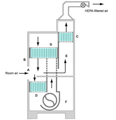 Figure showing the side view of a Class II Type B1 biosafety cabinet, with arrows indicating the direction of airflow through the equipment.