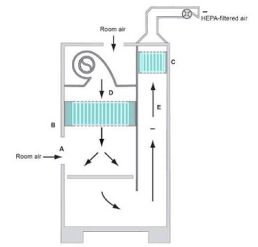 Figure showing the side view of a Class II Type B2 biosafety cabinet, with arrows indicating the direction of airflow through the equipment.