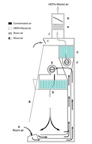 Figure showing the side view of a Class II Type C1 biosafety cabinet that is connected to building exhaust ductwork, with arrows indicating the direction of airflow through the equipment.