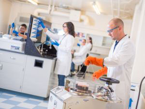 People working in the Biosciences Entrepreneurial Lab