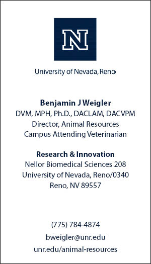 Business card example