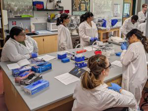 A biomedical bioinformatics summer training course at the University of Nevada, Reno at Lake Tahoe