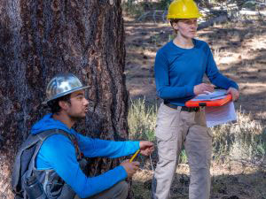 A student and an instructor in a silvaculture course at the Whittell Forest & Wildlife Area
