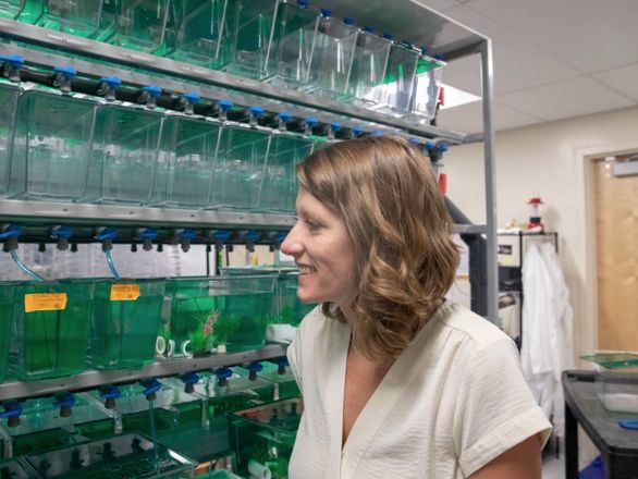 A woman looks at fish tanks in a research lab.