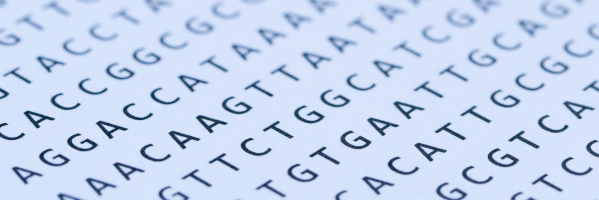 Close up of typed DNA code