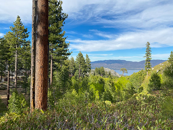 A mountain view from the eastern Sierra overlooking Washoe Lake.