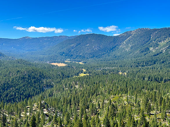 A view of the eastern Sierra in northern Nevada.