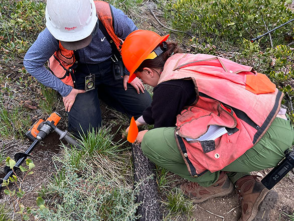 Two researchers collecting data on regrowth in a burned landscape.