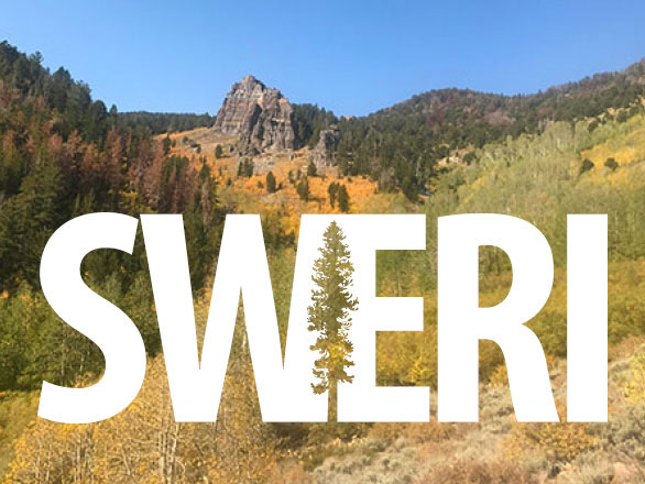 A view of the eastern Sierra in northern Nevada with the SWERI logo overlayed..