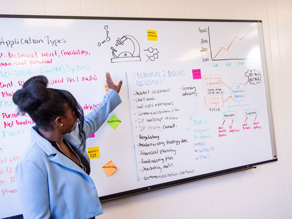 A woman presenting information on a whiteboard