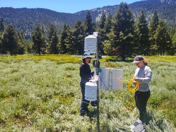 Sandquist and Corcoran install a Bowen-Ratio energy-balance station in the meadow at Whittell, to measure heat and water fluxes from the surface.
