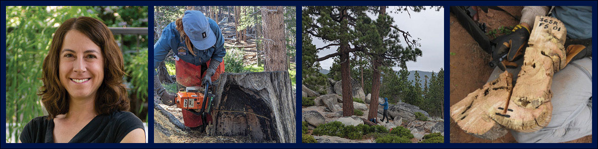 Collage of four photos showing the speaker and their field research.