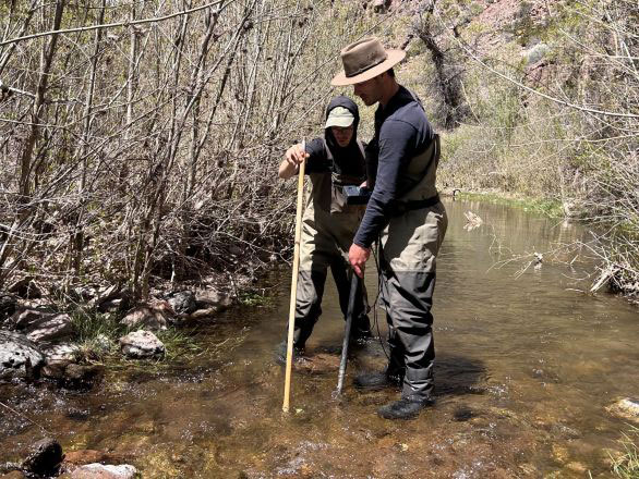 Two researchers taking measurements in a stream at the Whittell Forest & Wildlife Area.