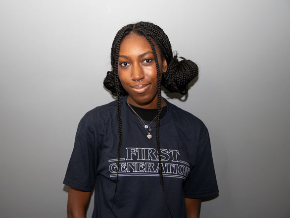 Breajinae Mason