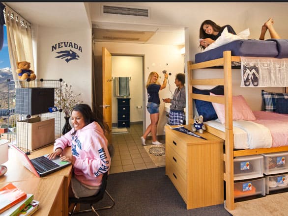 Argenta Hall double room with lofted and lower beds, wood furniture, and a study desk by a bright window. Two students stand near the bathroom doorway decorating the wall, while another relaxes on the top bunk, creating a lively and welcoming atmosphere.