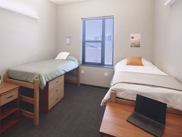 Two twin beds with desks, drawers, and large window providing natural light in a modern student suite.