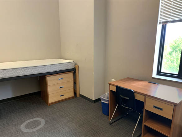 Single bedroom in Great Basin Hall featuring a lofted twin bed, wooden desk with chair, and large window providing natural light in a modern, minimalist student living space.