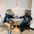Two University of Nevada, Reno mascots sit at a small round table in a modern dining area, sharing a meal under a hanging light fixture.