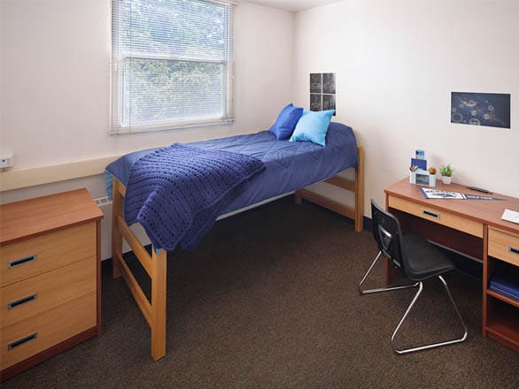 Single bedroom in Juniper Hall with a lofted Twin XL bed, desk, chair, dresser, and natural light from a window.