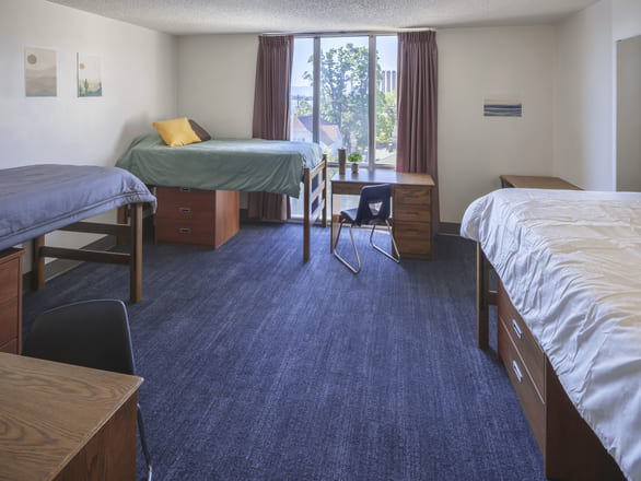 Bright triple Sierra Hall bedroom featuring three raised twin beds with storage drawers underneath, three desks, and a large window providing natural light.
