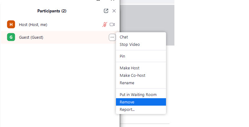 Screen clipping of the Participant list dialog in a Zoom meeting. A user&rsquo;s name has been moused-over to display the Unmute button and the &ldquo;...&rdquo; fly-out menu. The &ldquo;...&rdquo; fly-out menu is activated, and the Remove option is selected.