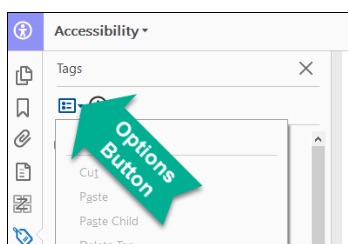 [Figure 17] Screenshot of the "Accessibility" menu in Adobe Acrobat with the "Tags" menu active. A green arrow with "Options Button" in white shows users where to click to activate the Options menu, including the "Highlight Content" option and "Tag from Selection" (step 3 below).