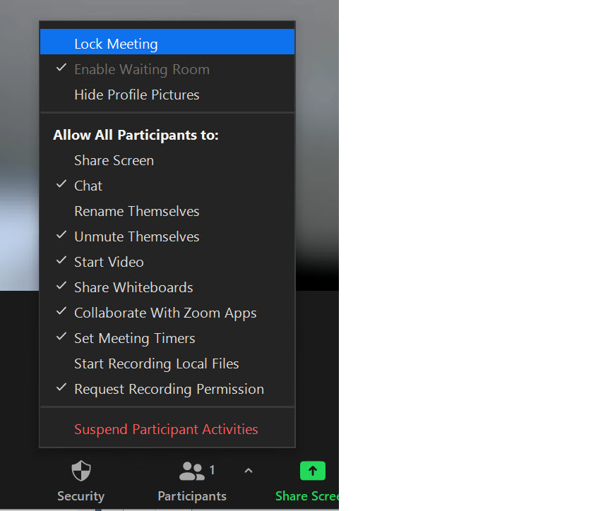 [Figure 1] Screen clipping of the lower right-hand corner of the Zoom Meeting window, with Participant Management panel open and the More drop-down menu activated. The “Lock Meeting” option from the More drop-down menu is selected and highlighted.